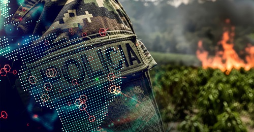 Supporting Strategic Decisions on Organised Crime Risk