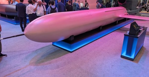 Fire Point's FP-5 Flamingo cruise missile, displayed at Eurosatory 2026.