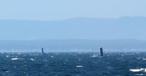 Ocius' Bluebottle surveillance USVs in operation during a Royal Australian Navy (RAN)-led experimentation activity at Jervis Bay in 2023.
