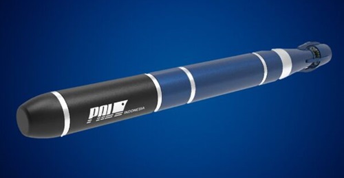 PT PAL's Piranha torpedo, as depicted at a presentation in September 2026.