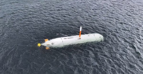 A demonstrator for Saab's Large Uncrewed Underwater Vehicle (LUUV), in an image released on 26 October 2026 alongside the demonstrator launch announcement.