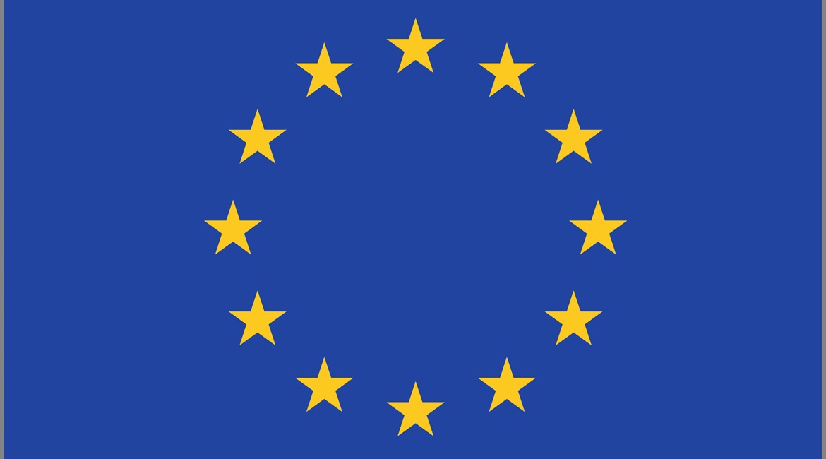 The EDF will not deliver the defence capabilities Europe needs unless it balances supporting excellence at national levels and promoting cross-border co-operation in capability development, according to a European Parliament report.