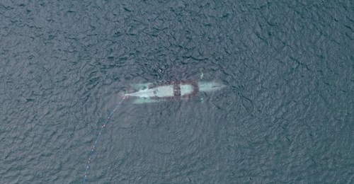 The Victa DDU prototype is pictured during proof-of-concept trials, which were conducted at SubSea Craft's T3 facility in Portland, Dorset, in June and July 2023.