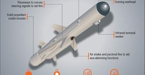 A graphic of the Sea Eagle-6 anti-ship missile that was launched by North Korea on 14 February 2024.