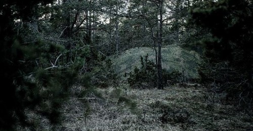 The DGA ordered 3,000 multispectral camouflage nets from Saab Barracuda on 21 January.