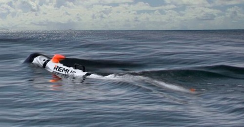 HII announced on 21 June that the RNZN  has placed an order for four REMUS 300 UUVs (similar to this one).
