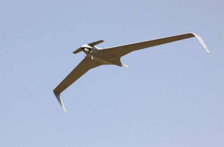 IAI is considering acquiring Aeronautics, manufacturer of the Orbiter 3 UAV. (Aeronautics Ltd)