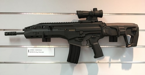 IWI's 5.56 mm Carmel.
