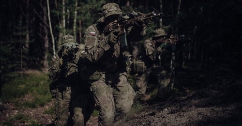 The Grot C16 assault rifle is part of a modular weapon system that includes various calibres of classic and bullpup-type firearms developed by Fabryka Broni. Since 2017, over 26,600 Grot rifles have been delivered to Poland's Territorial Defence Forces.