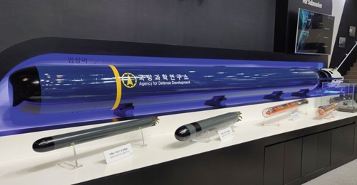 A mock-up of the Tiger Shark heavyweight torpedo on display at MADEX 2019
