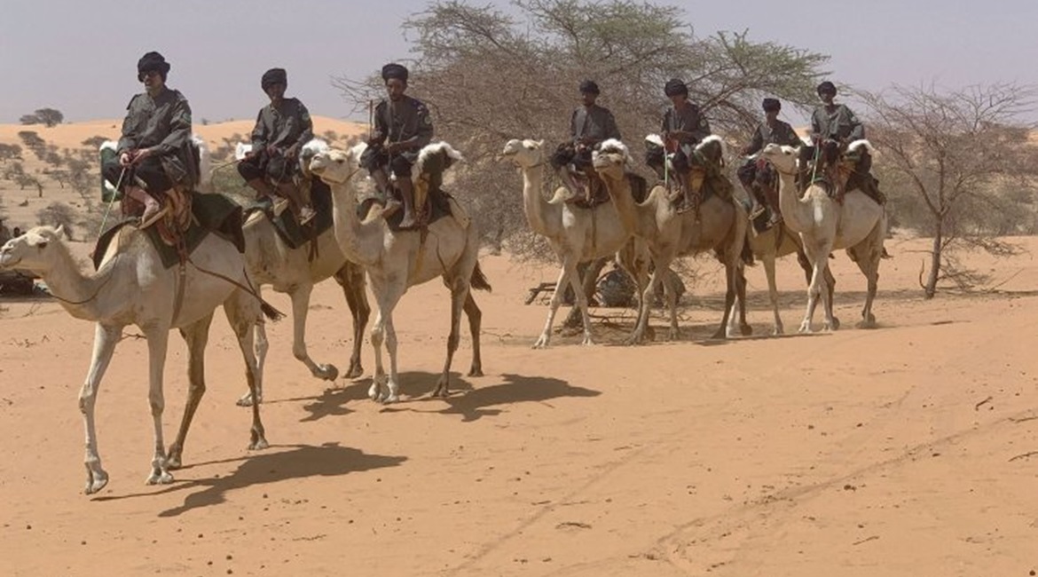 The Nomadic Group now has some 370 camels, allowing it to significantly extend its coverage of the Mauritanian hinterland once personnel recruitment and training are completed.