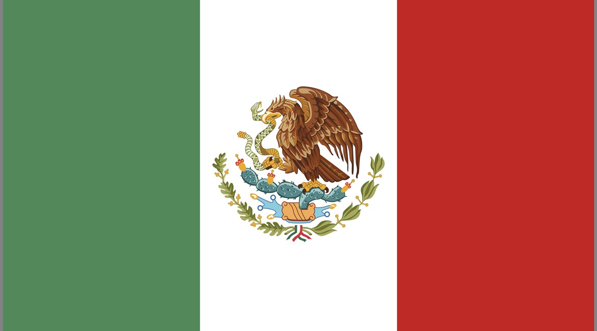 Mexican troops are being used internally for a variety of missions.