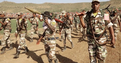 Tigrayan regional police personnel have joined the TPLF-led rebel forces.