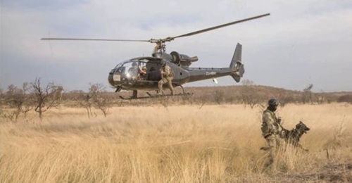 Paramount Group's new Advanced Training and Support division will undertake a range of training and capacity building operations, including pilot training and dog-handling.